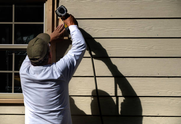 Best Vinyl Siding Installation  in Windsor, CO